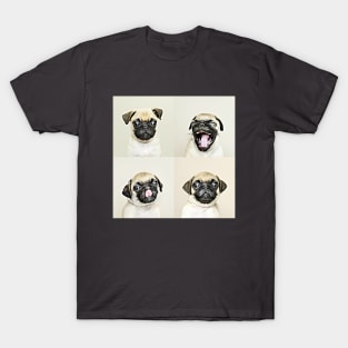 The Four Faces Of Pug T-Shirt